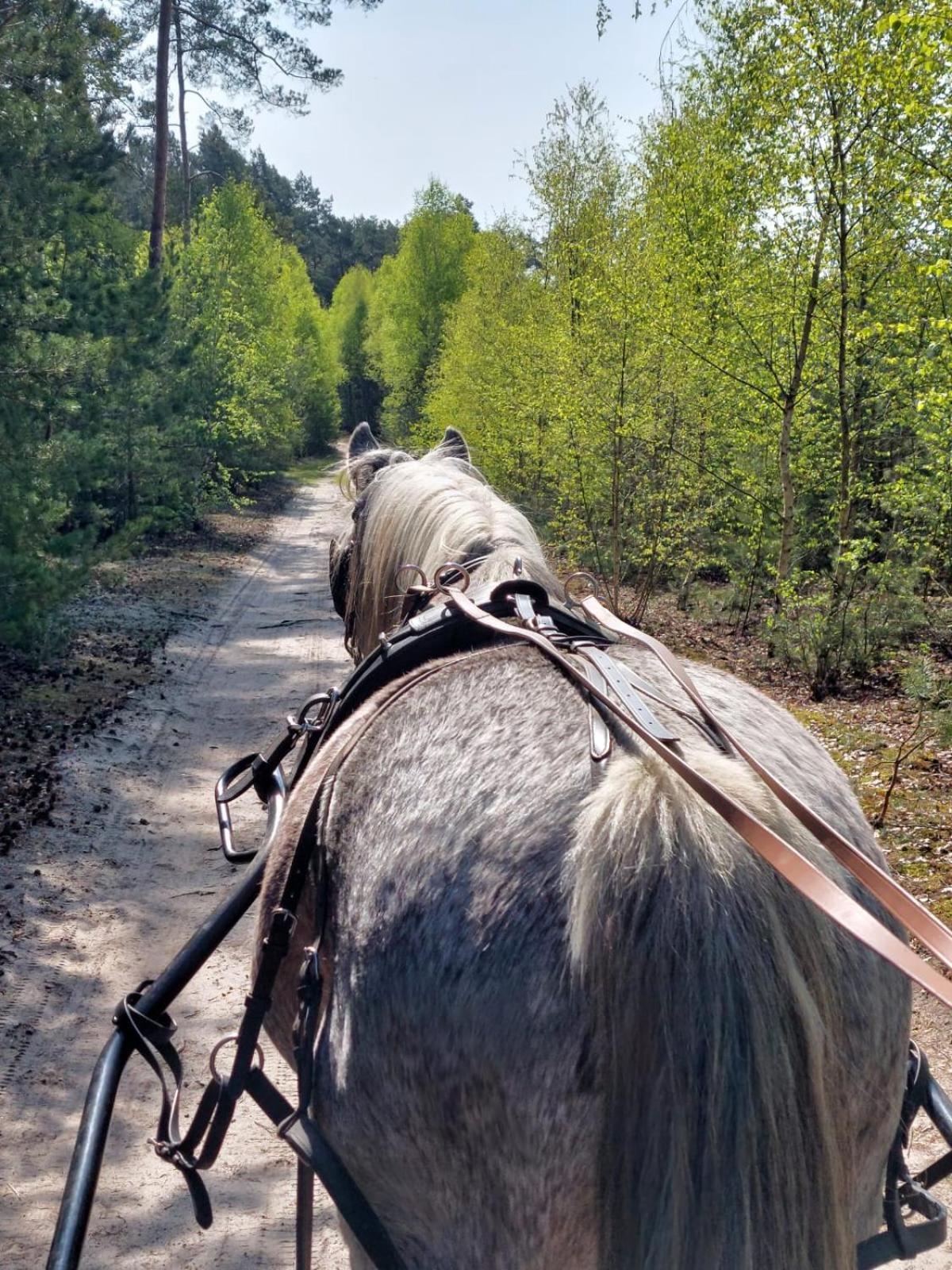 Agroturystyka Polana Harmonii Przytoczna Buitenkant foto